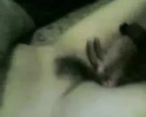 შტამპი student sex erotikuli filmebi onlainshi