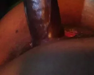 მოდელი, adamianis da cxovelis seqsi