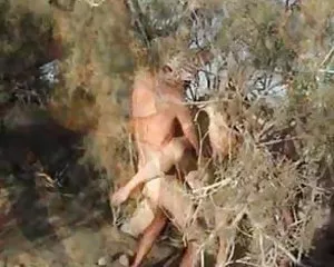 გერმანელი, 3 pornoseksi